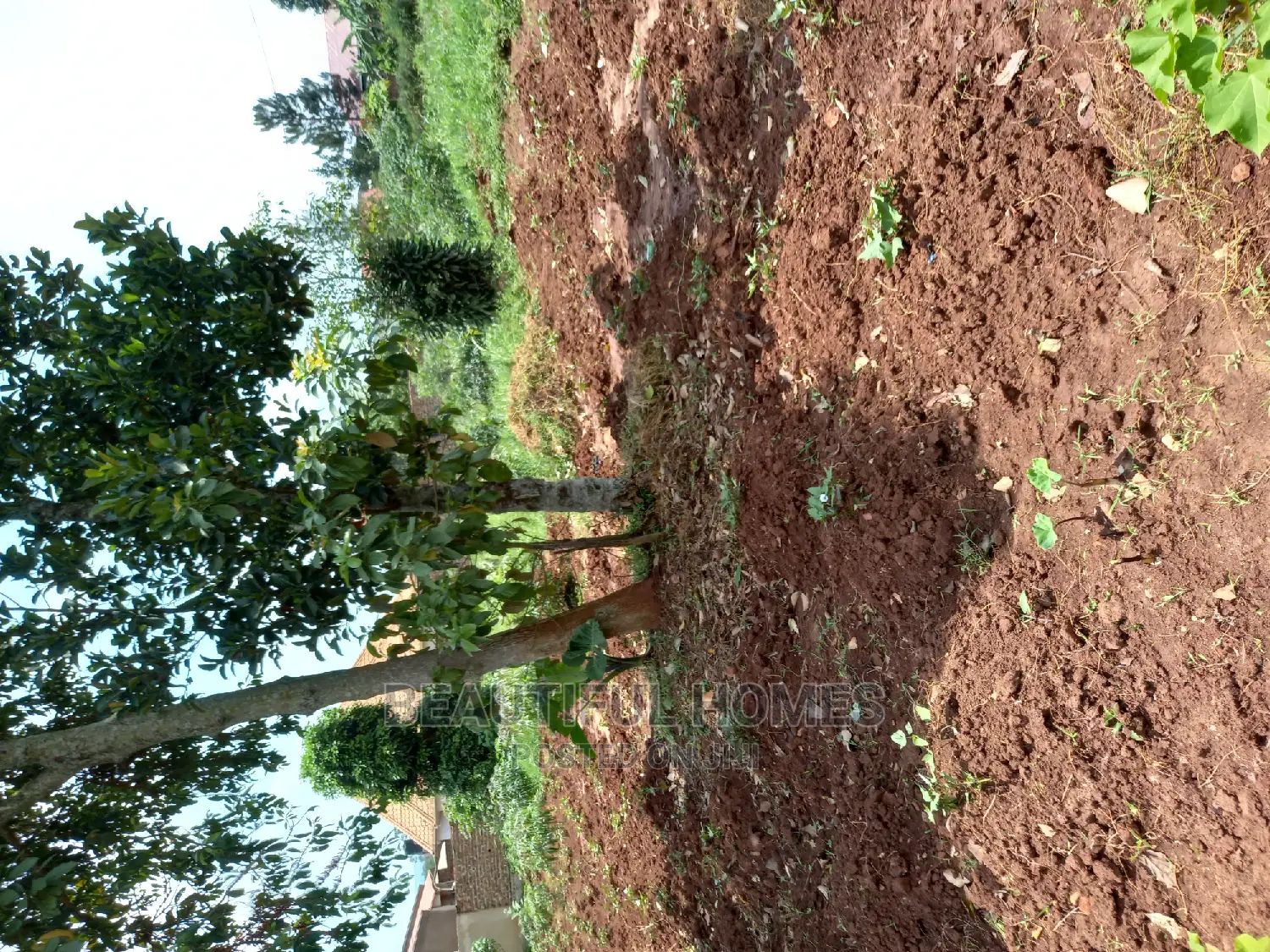 Kira Two Classy Plots Near the Road on Sell