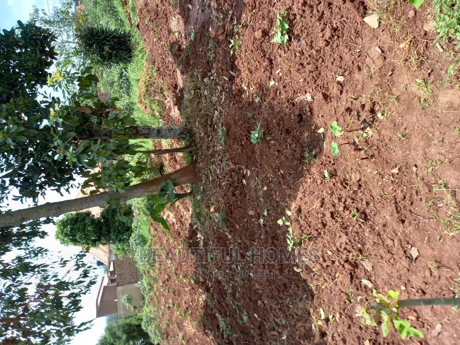 Kira Two Classy Plots Near the Road on Sell