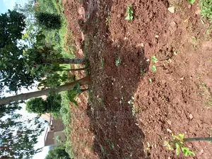 Kira Two Classy Plots Near the Road on Sell