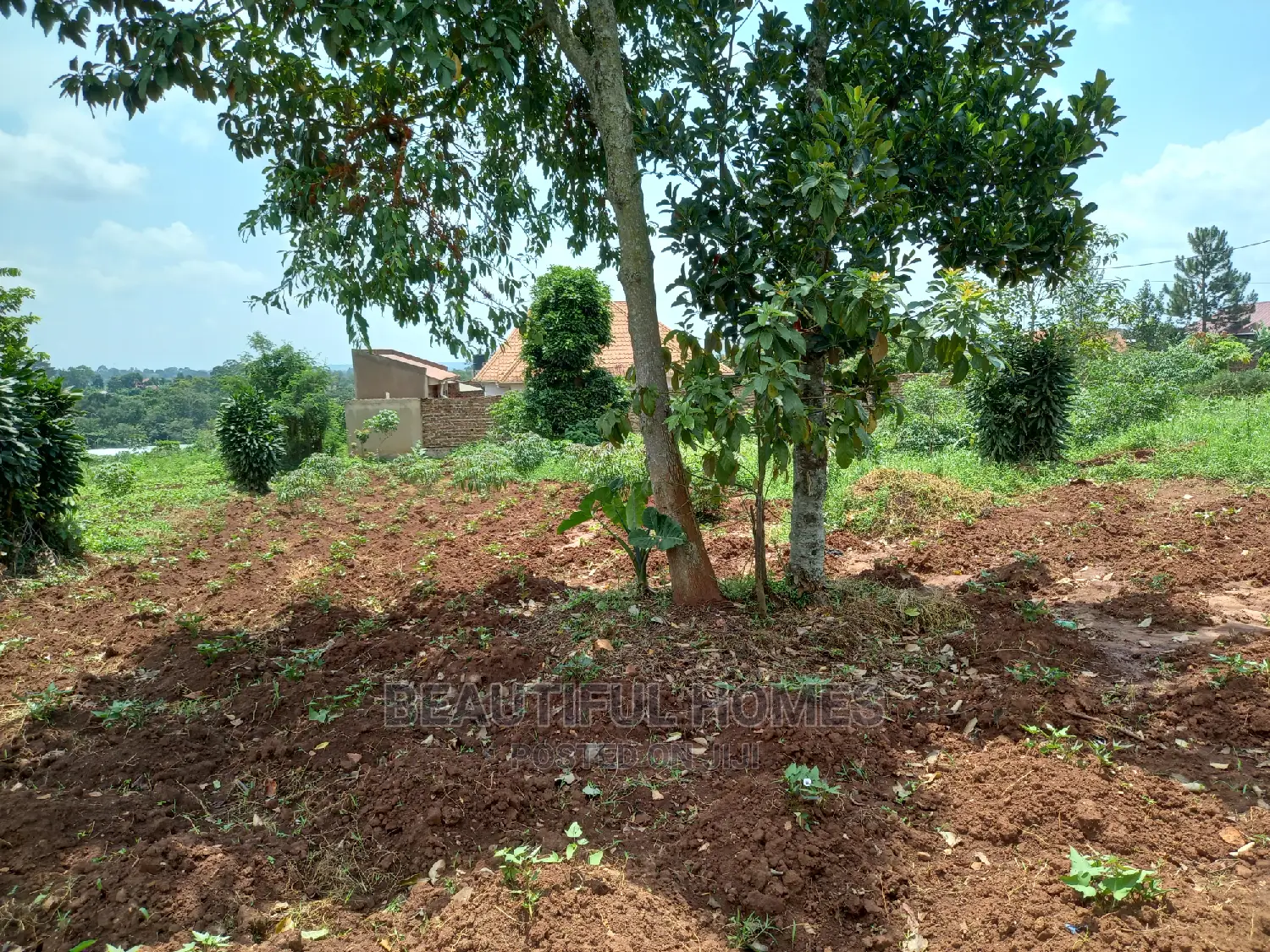 Kira Two Classy Plots Near the Road on Sell
