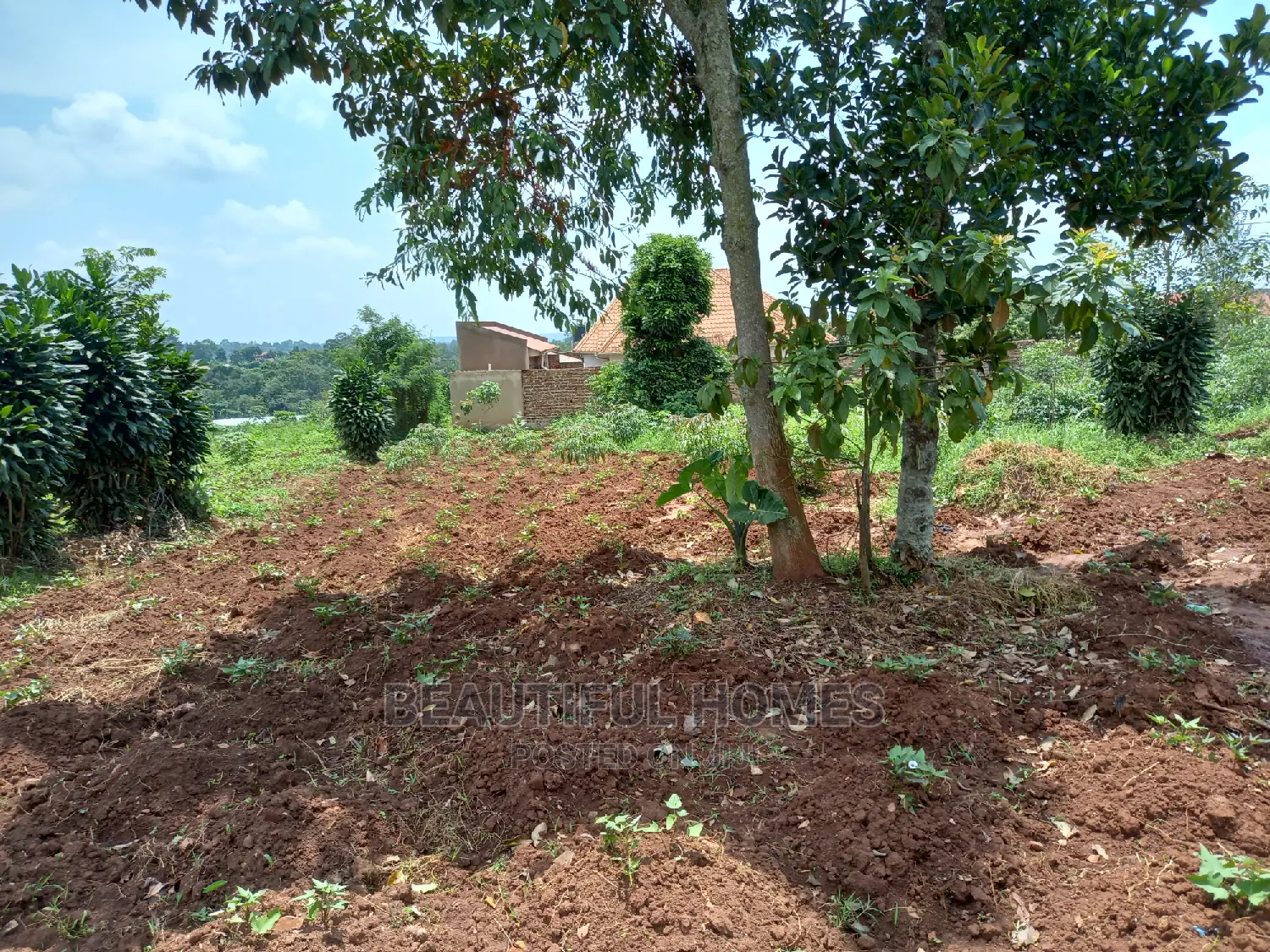 Kira Two Classy Plots Near the Road on Sell