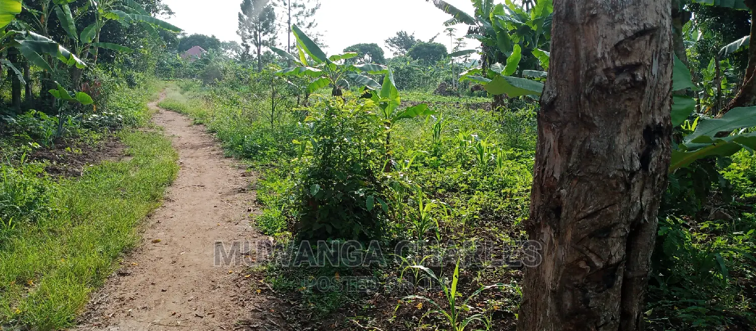 10acres of Land for Sale in Kikyusa