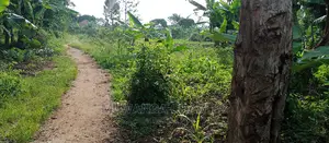 10acres of Land for Sale in Kikyusa