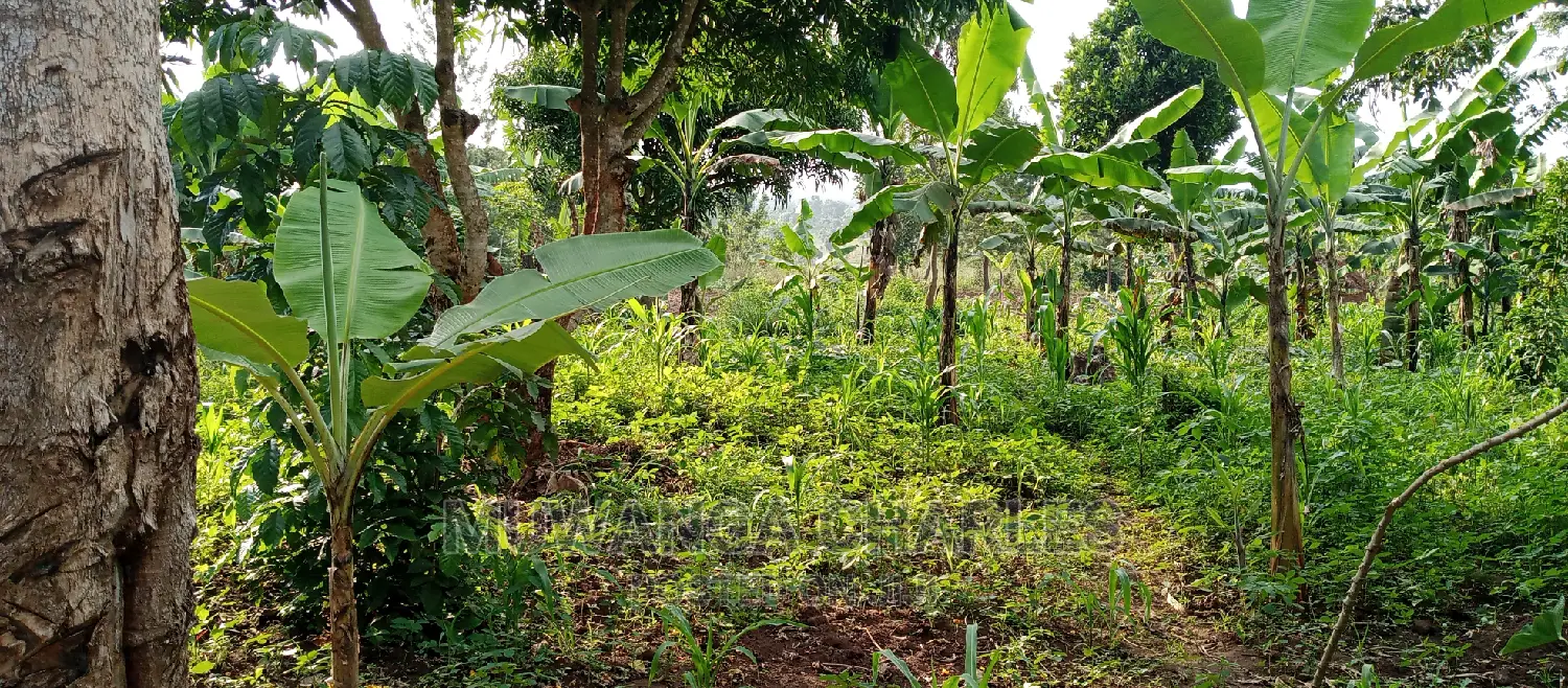 10acres of Land for Sale in Kikyusa
