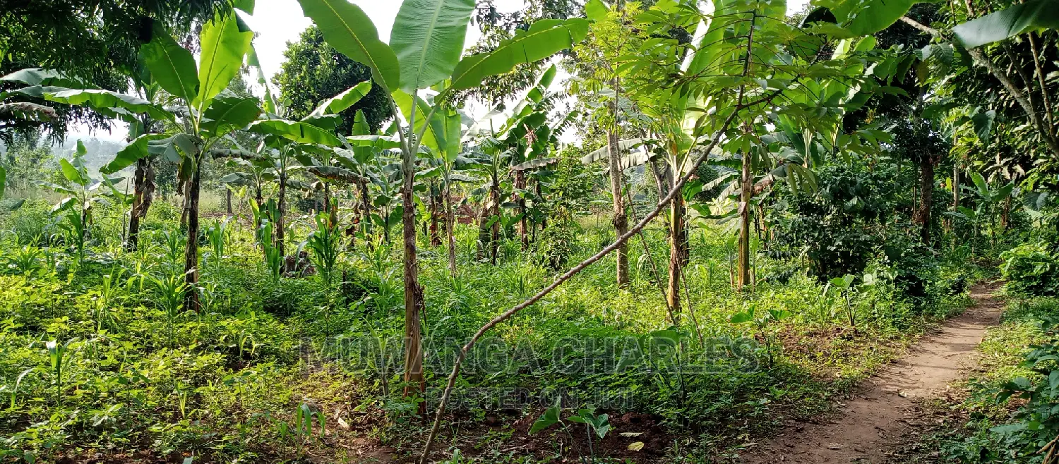 10acres of Land for Sale in Kikyusa
