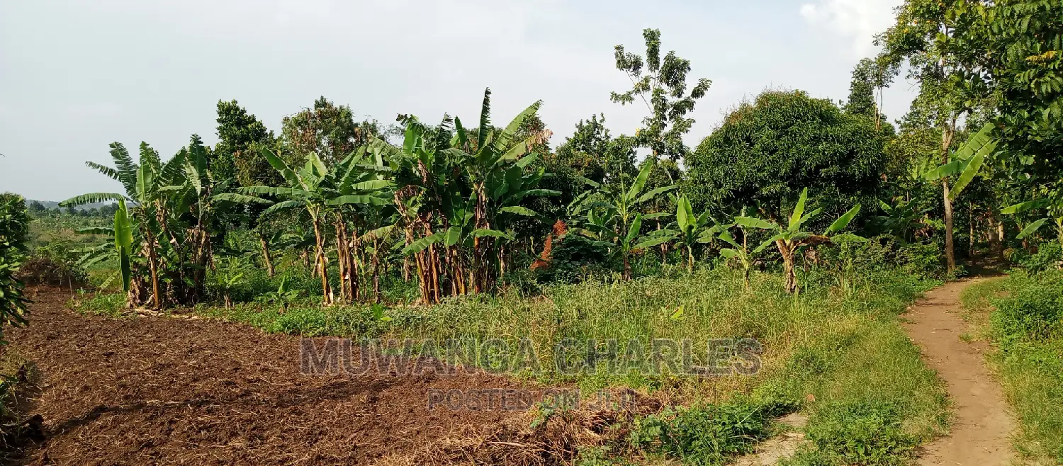 10acres of Land for Sale in Kikyusa