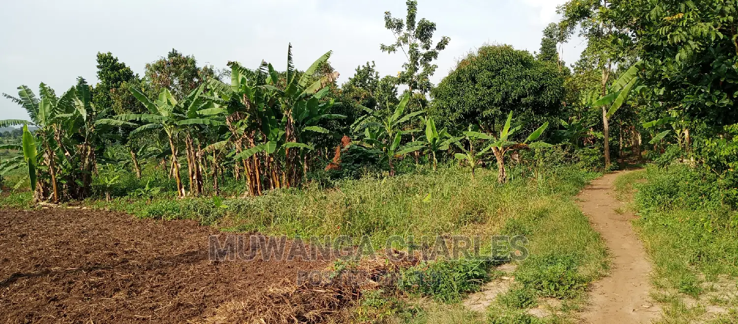 10acres of Land for Sale in Kikyusa