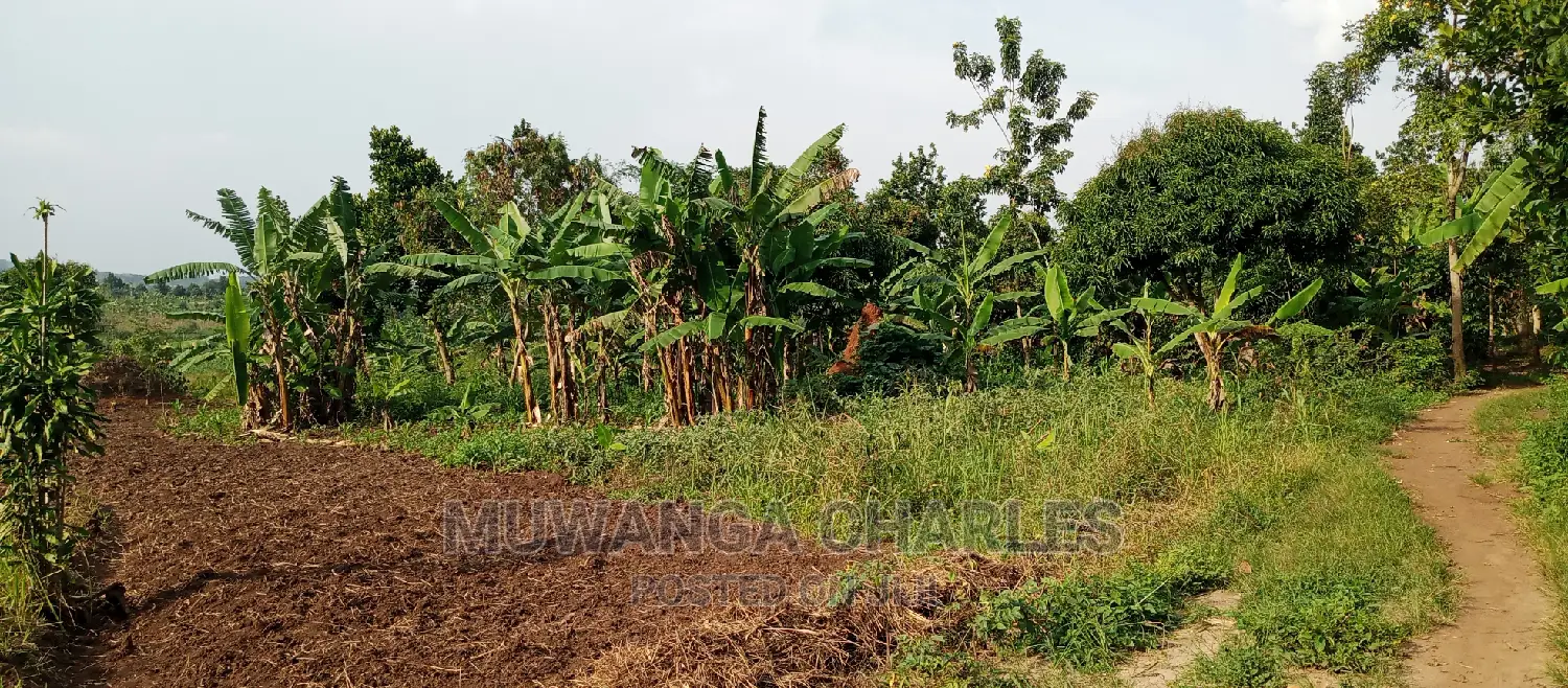 10acres of Land for Sale in Kikyusa