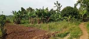 10acres of Land for Sale in Kikyusa