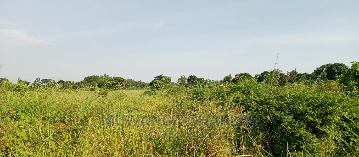 10acres of Land for Sale in Kikyusa