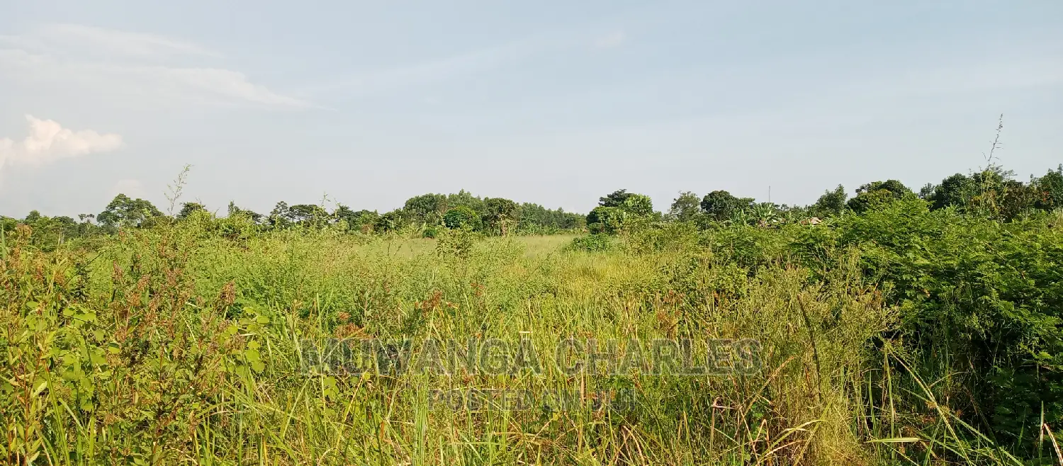 10acres of Land for Sale in Kikyusa