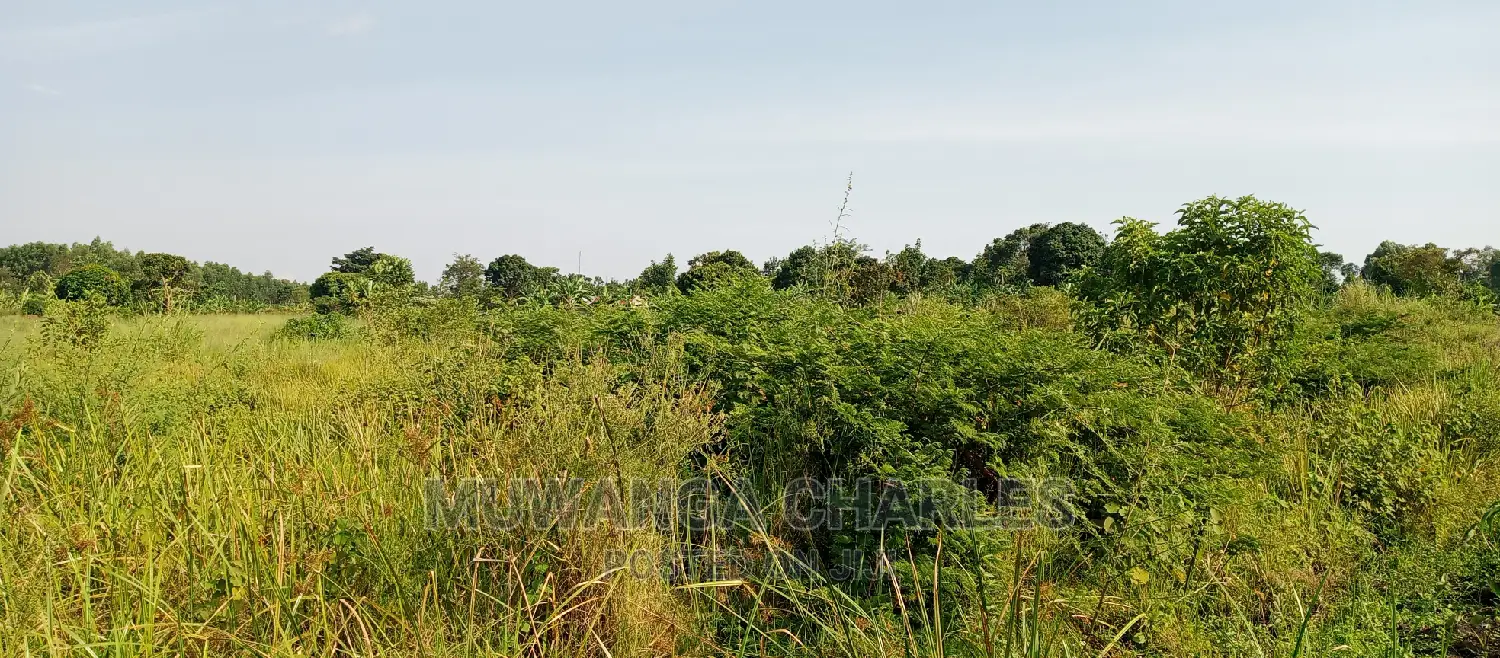 10acres of Land for Sale in Kikyusa