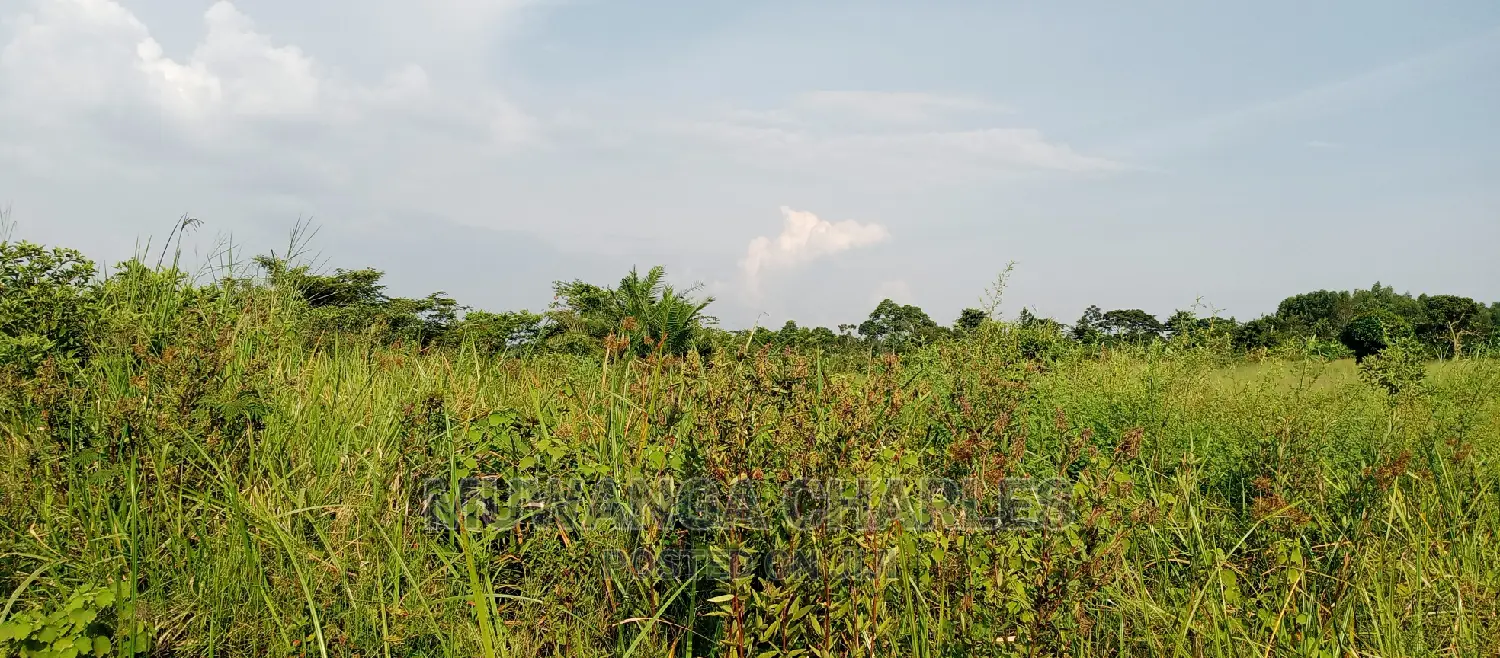 10acres of Land for Sale in Kikyusa