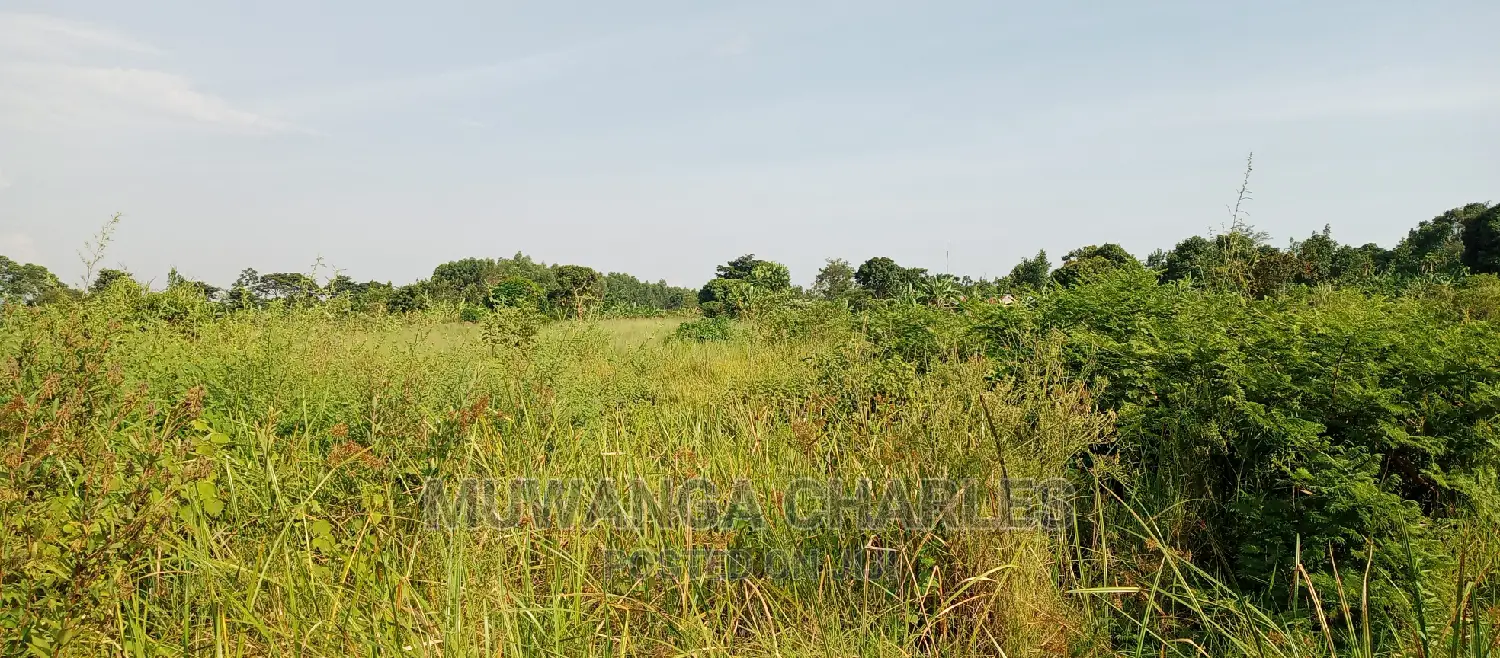 10acres of Land for Sale in Kikyusa