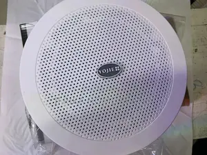 Ceiling Speaker