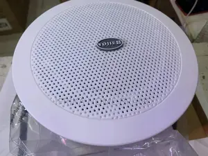 Ceiling Speaker