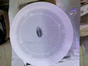 Ceiling Speaker