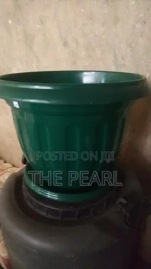 Flower Potz