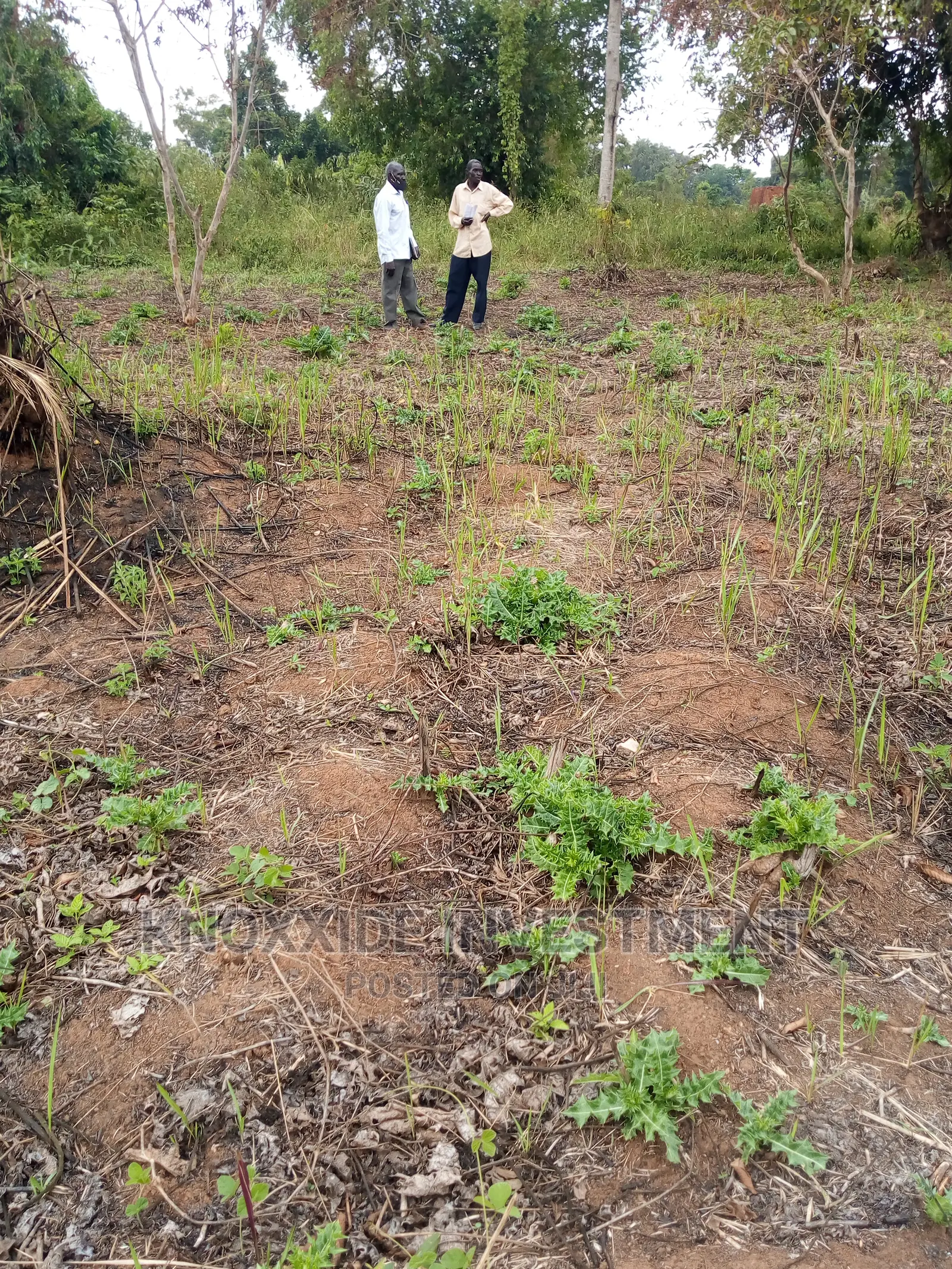 Plot for Sale 100x50ft at 7.5m Ugx Kakiri Masurita