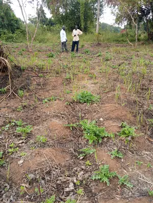 Plot for Sale 100x50ft at 7.5m Ugx Kakiri Masurita