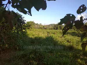 10,000acres of Land for Cattle Grazing Both for Sale/Rental