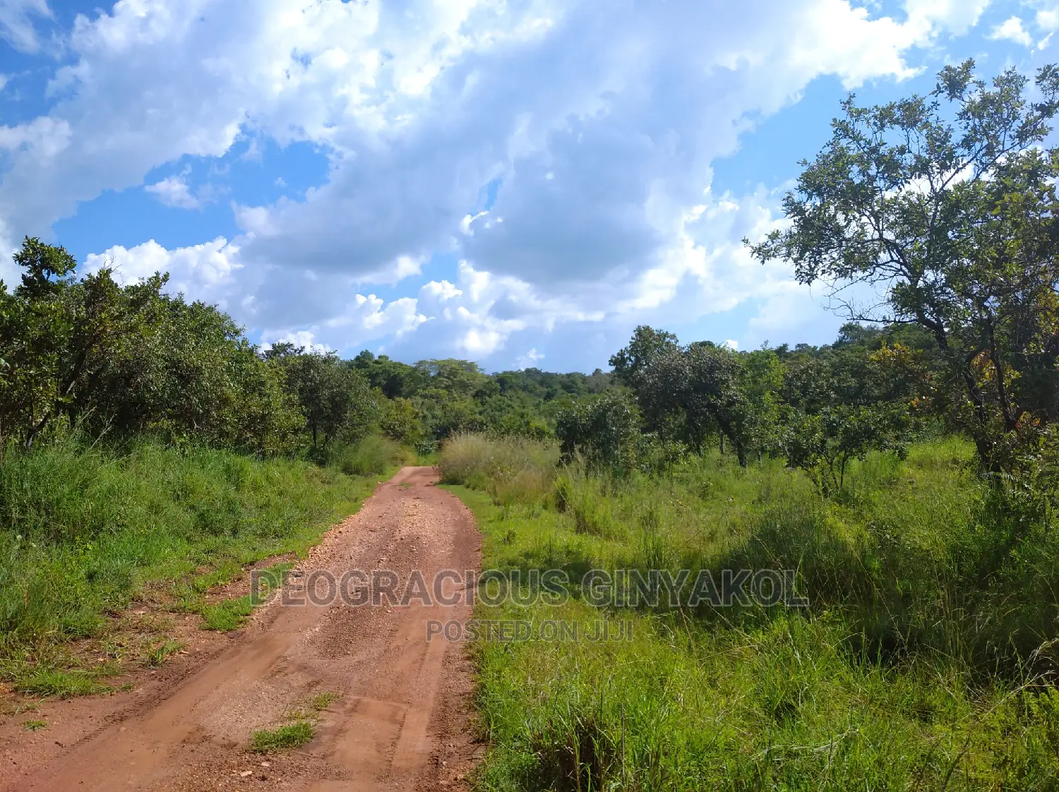 10,000acres of Land for Cattle Grazing Both for Sale/Rental