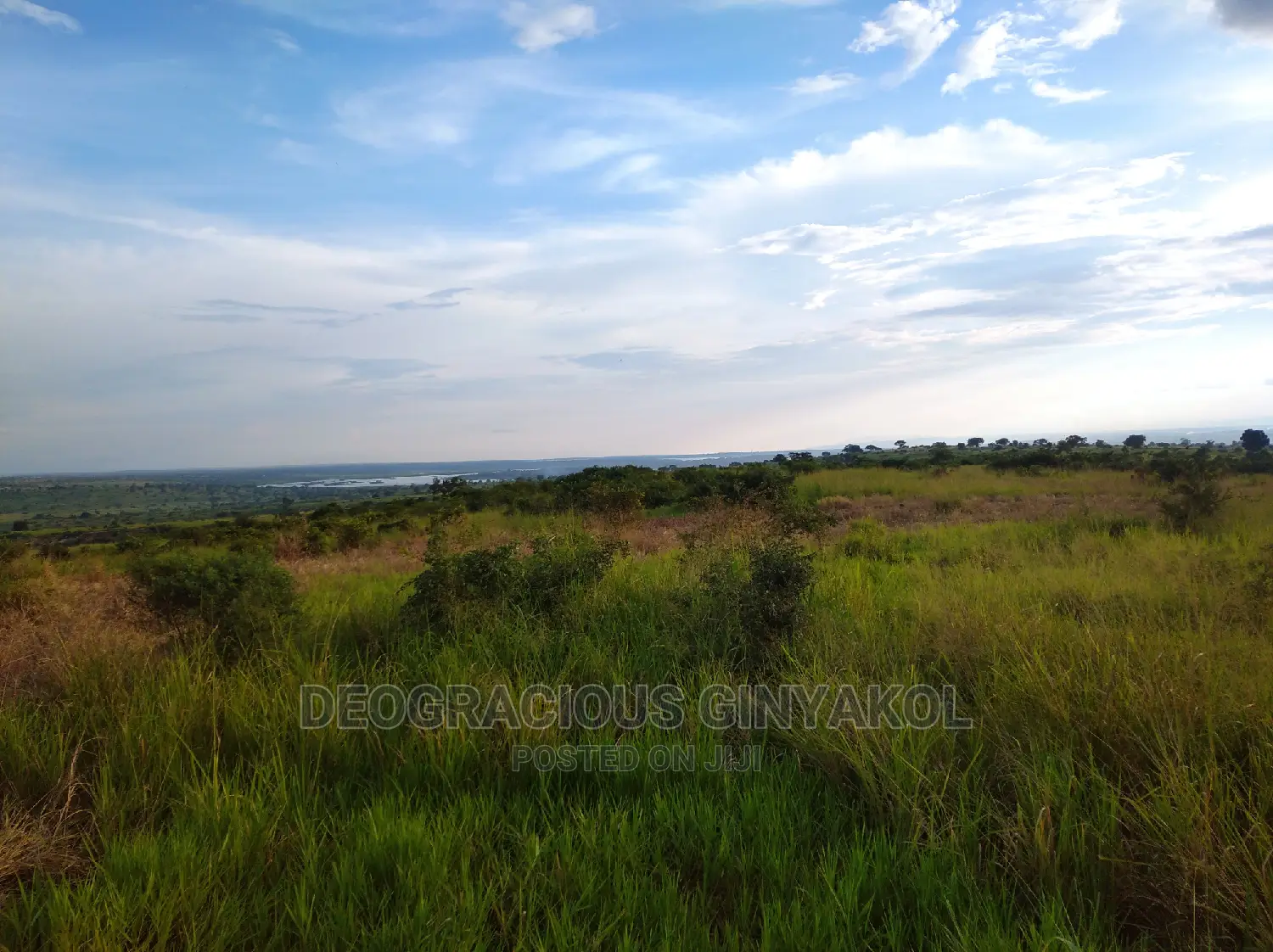 10,000acres of Land for Cattle Grazing Both for Sale/Rental