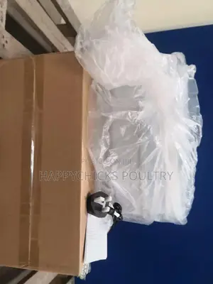 60 Egg Incubator