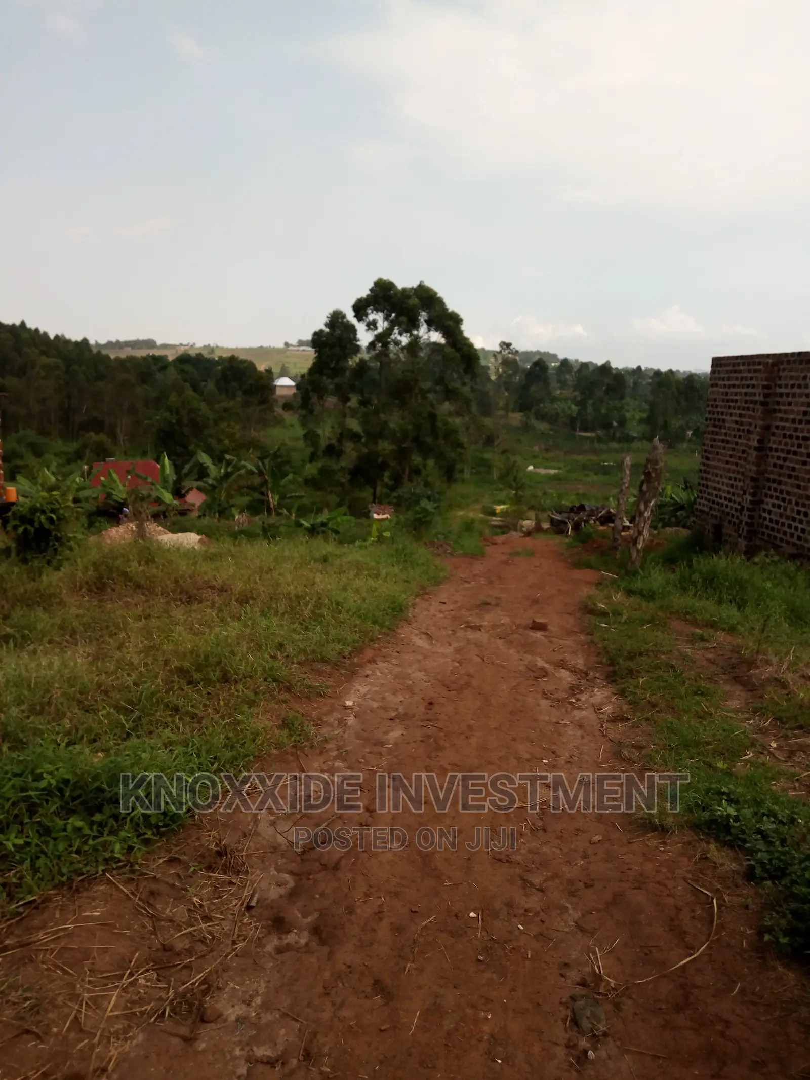 Plot for Sale 100x40ft at 17m Ugx Setema Town