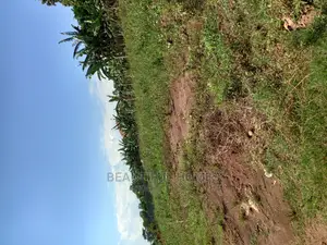 Nakwero Plots on Sell