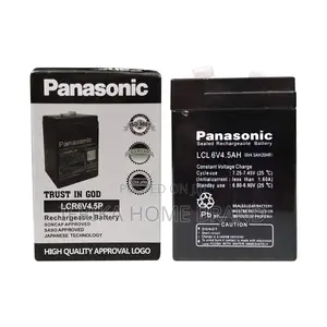 Panasonic Sealed Rechargeable Battery LCR6V4.5P
