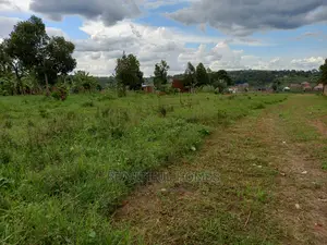 Kira New Estate of Affordable Plots of Land