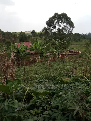 Plot for 50x30ft Kikungi Town Kakiri