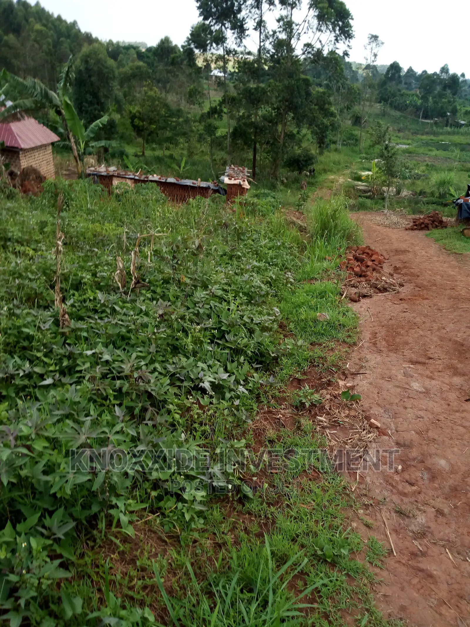 Plot for Sale 100x50ft at 8m Ugx Kakiri Wagaba Town Hoima Road