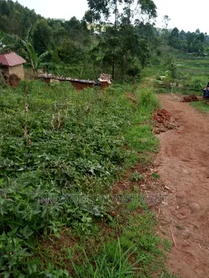 Plot for Sale 100x50ft at 8m Ugx Kakiri Wagaba Town Hoima Road