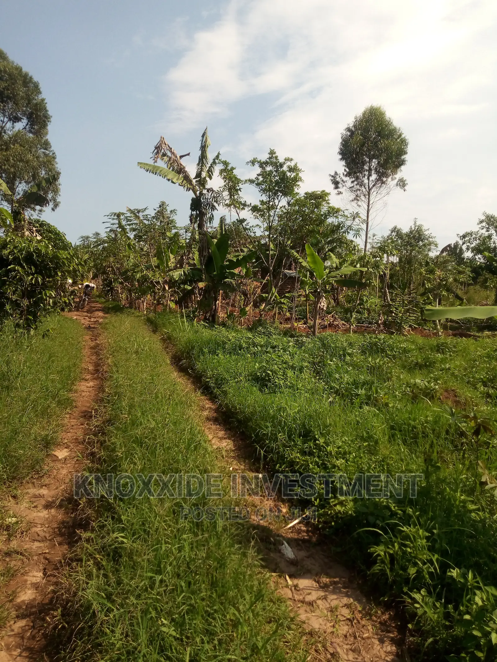 Land for Sale 1acres for Sale at 140m Ugx Kakiri Nakyerogosa Hoima Road