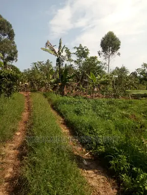 Land for Sale 1acres for Sale at 140m Ugx Kakiri Nakyerogosa Hoima Road