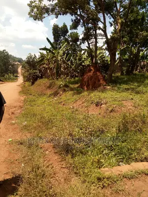 Land for Sale 1acre at 130M Ugx Lukwaga Town Sentema Road