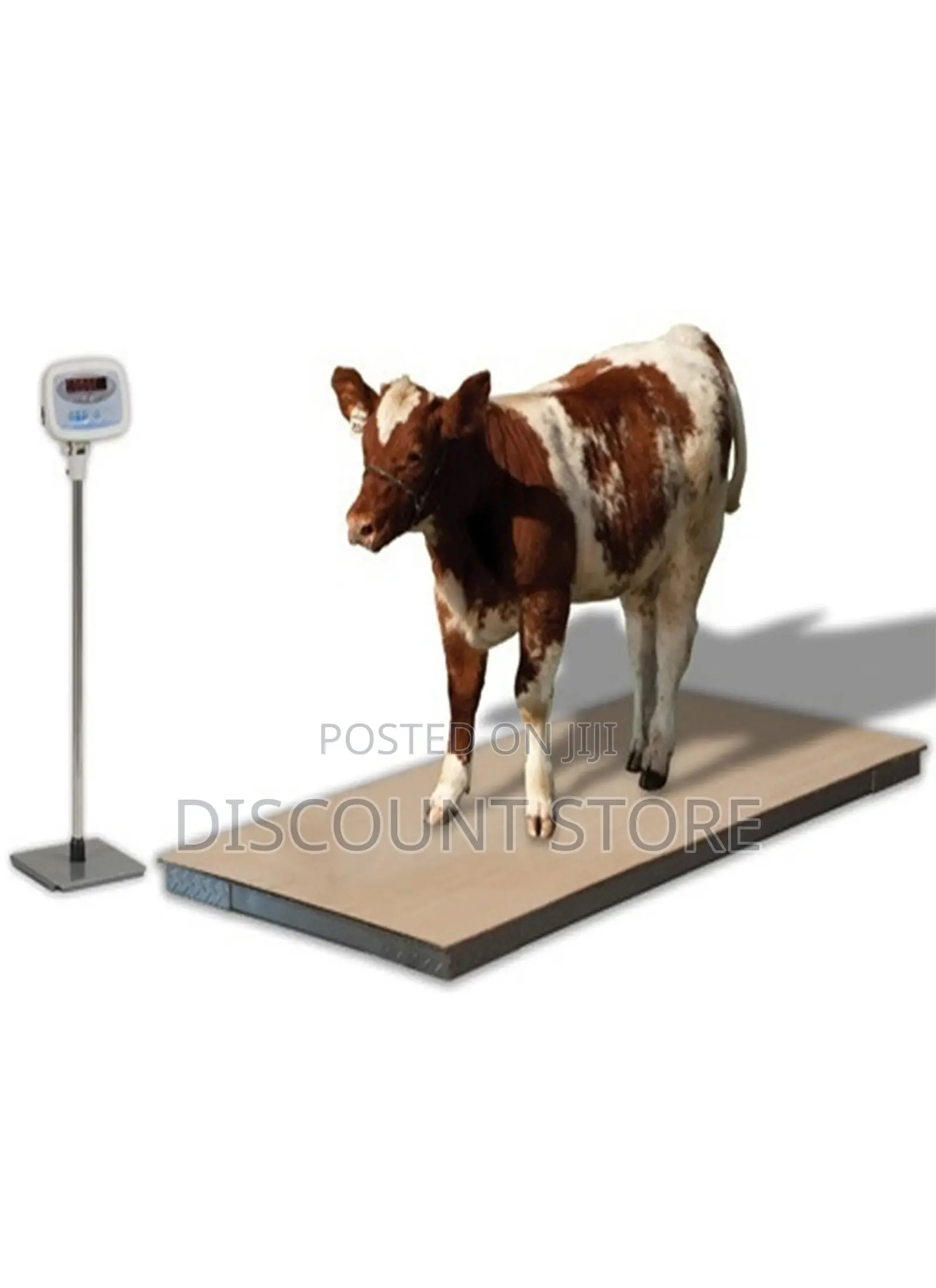 Non Caged Animal Weighing Scales.