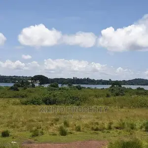Nkumba Lakeview Plots