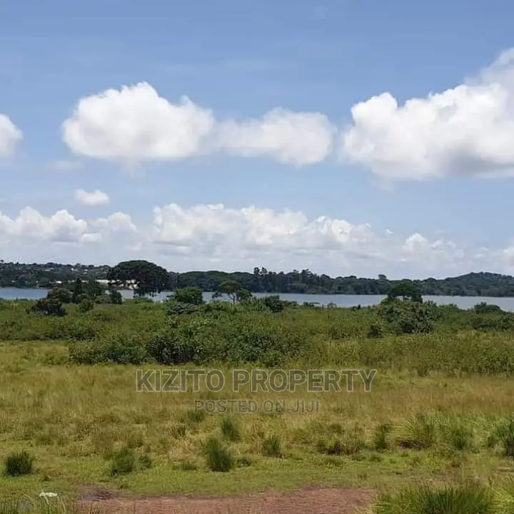 Nkumba Lakeview Plots