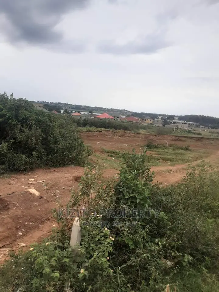 Nkumba Lakeview Plots