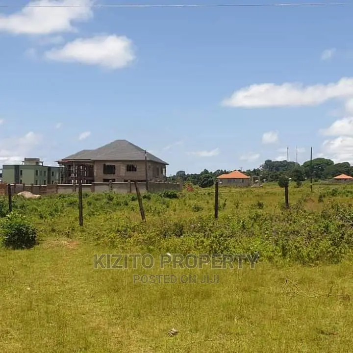 Nkumba Lakeview Plots