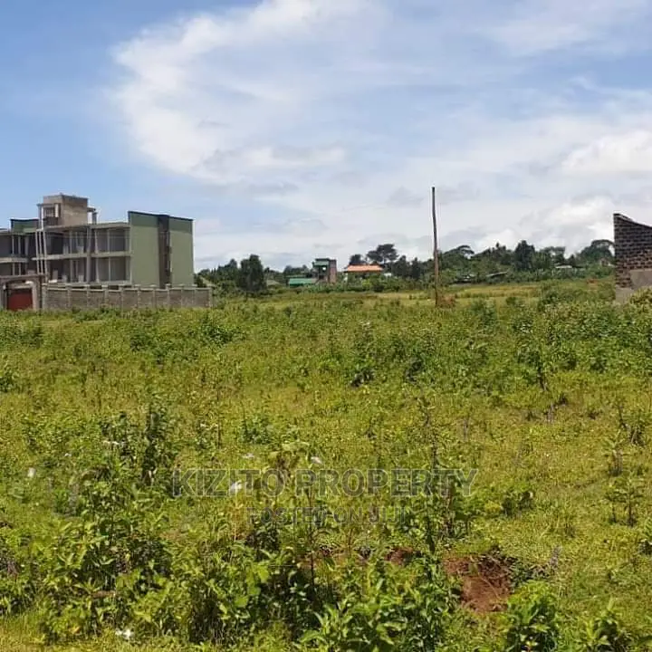 Nkumba Lakeview Plots