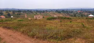 Kakiri Simbamanyo