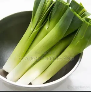 Photo - Green Fresh Leek