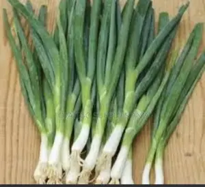 Photo - Green Onions