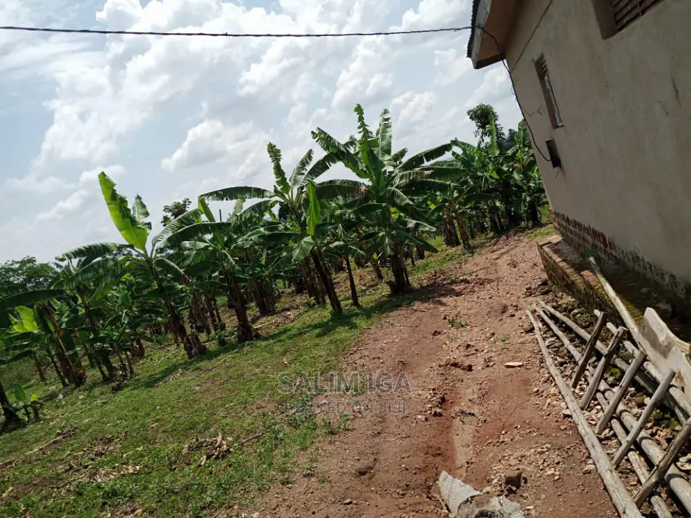 6bdrm Bungalow in Kololo Property, Luwero / Luwero for Sale