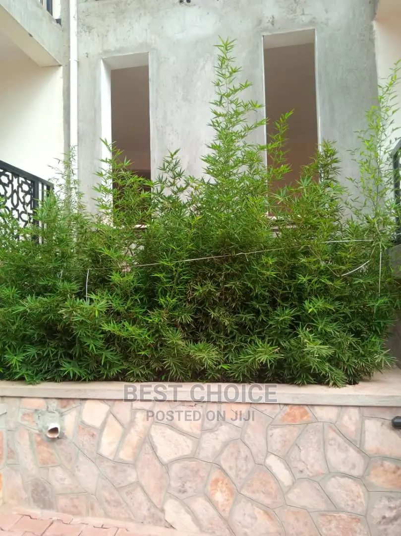 High Standard,Modern Compound Designing and Land Scarping.