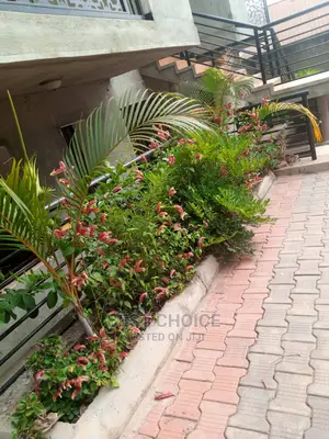 High Standard,Modern Compound Designing and Land Scarping.